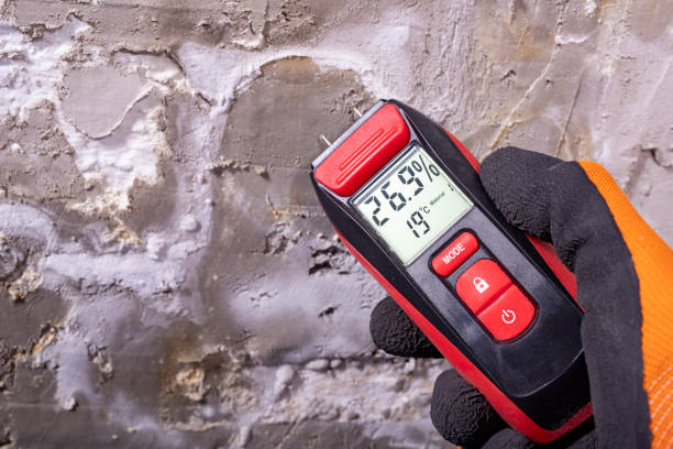Best Commercial Mold Removal  in Laguna Woods, CA