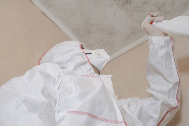 Best Mold Testing  in Laguna Woods, CA