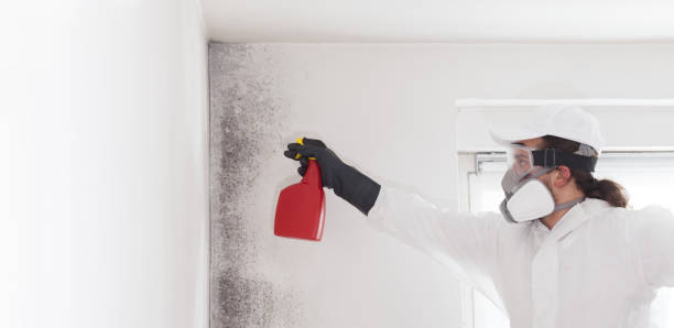 Crawl Space Mold Removal in Laguna Woods, CA